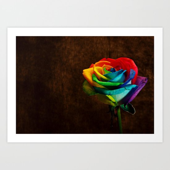 Rainbow rose Art Print
