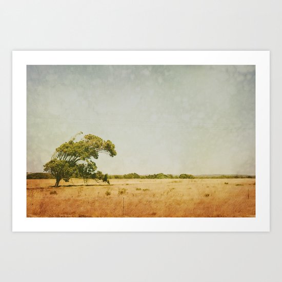 Summer Haze Art Print
