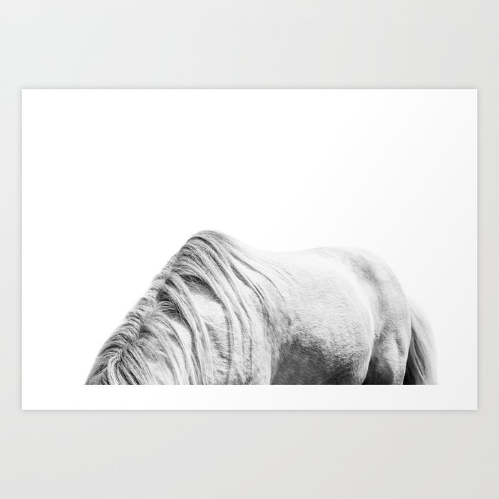 Horse | Animal Photography | Horse Mane Art Print