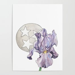 Tennessee Iris Poster
