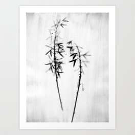 Two Hosta - Black and White Vintage Style Botanical Photograph Art Print