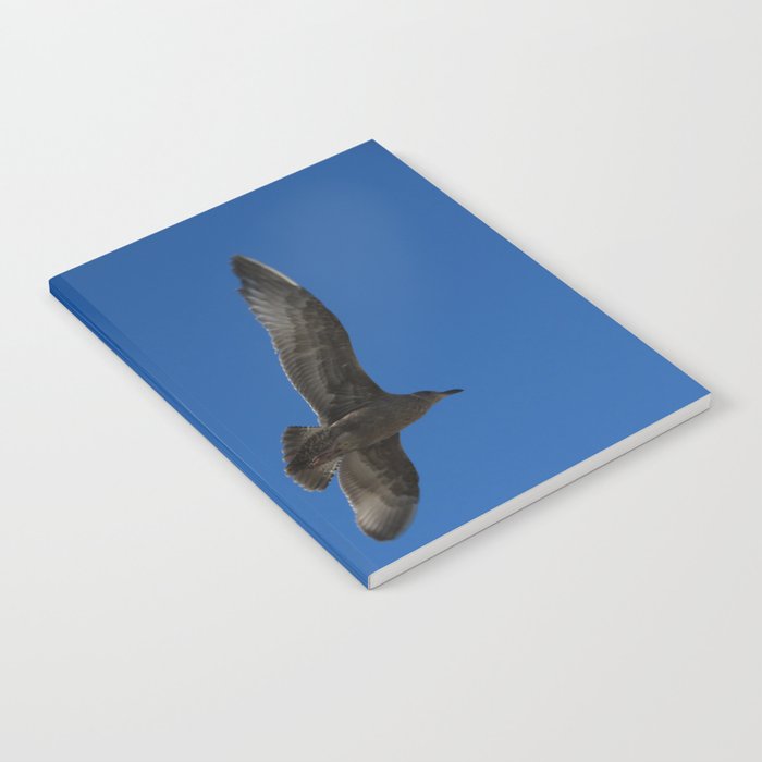 Flying Hawk Notebook