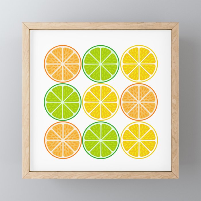 Citrus fruit slices Framed Mini Art Print