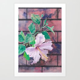 pink hibiscus flower Art Print