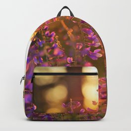 Spring Photography - Verbenas In The Sunset Backpack | Trees, Sunset, Happy, May, Grass, Beautiful, Spring, Flowers, Nature, Flower 