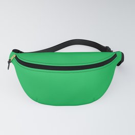 North African Ocellated Lizard Green Fanny Pack