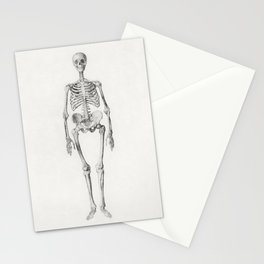 Human Skeleton, Anterior View Stationery Card