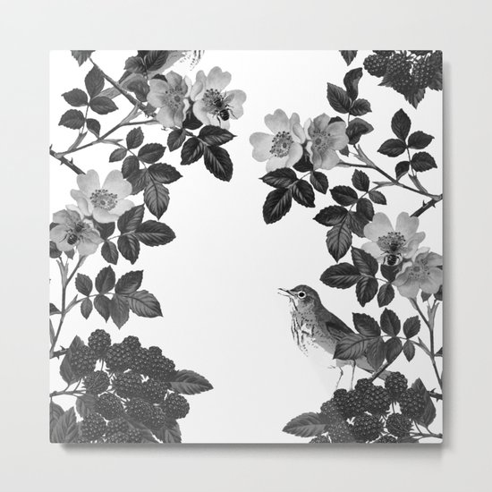 Birds and the Bees Black and White Metal Print