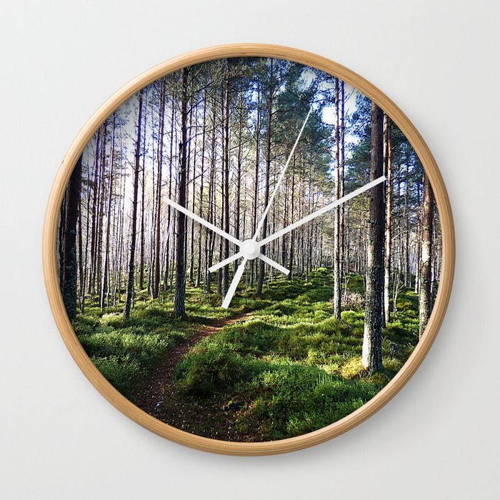 Sunlight Through a Scottish Birch and Pine Forest in Afterglow Wall Clock