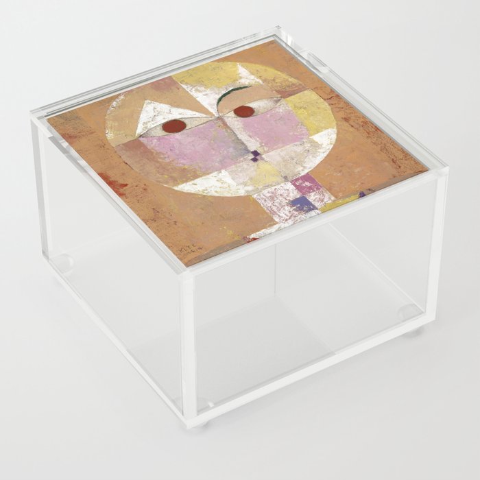 Senecio Acrylic Box