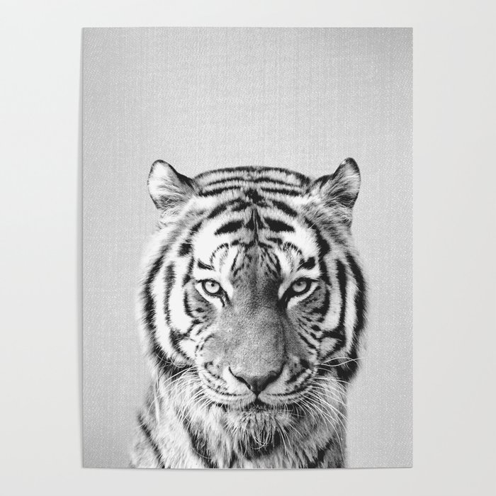 Tiger - Black & White Poster