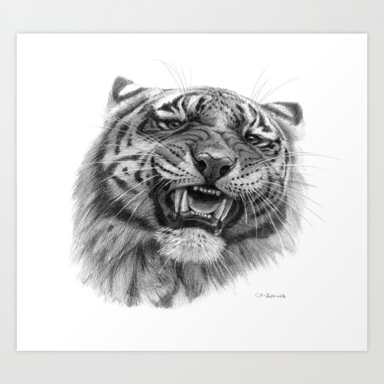 Tiger roar G082 Art Print