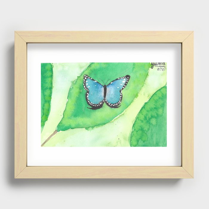 blue butterfly Recessed Framed Print