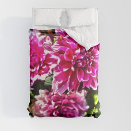 pink dahlia Comforter