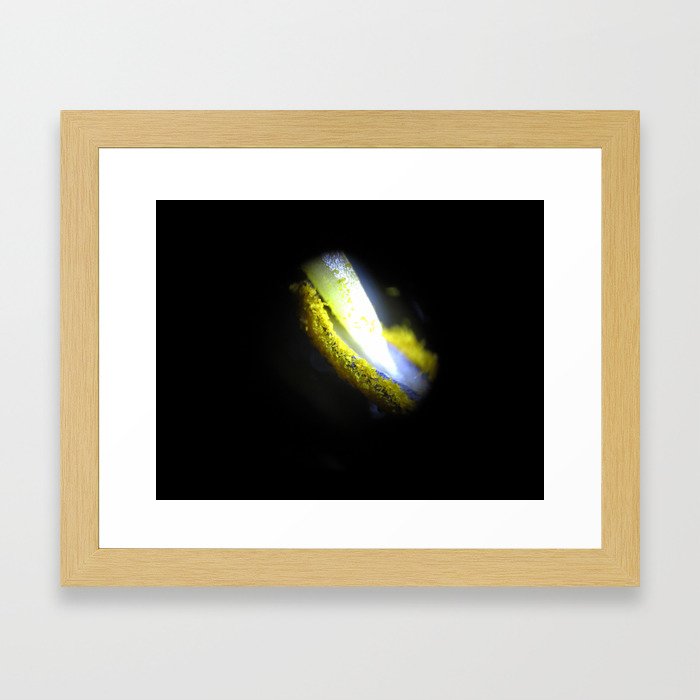 Daylily Anther with Pollen under a Microscope 1 Framed Art Print