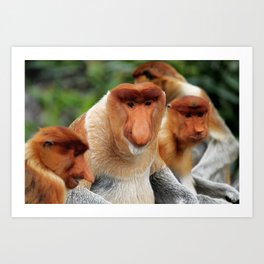 Proboscis Monkey Art Print | Nature, Animal, Landscape, Photo 