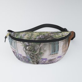 Paris Wisteria in Spring at Cafe Fanny Pack