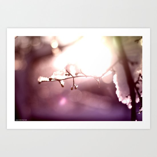 Winter lollipop Art Print