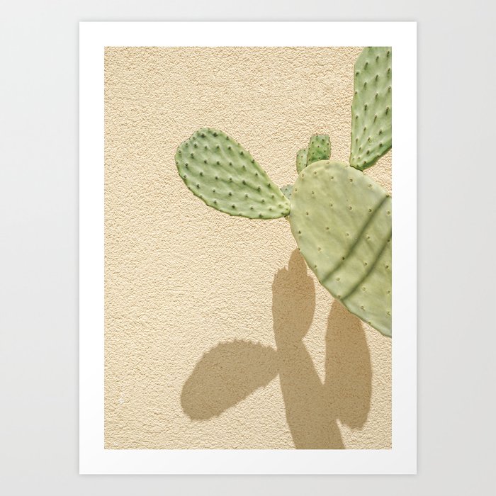 Cacti Shadowplay | Tropical Green Plant On Pastel Yellow Wall Art Print | Botanical Summer Travel Photography Art Print