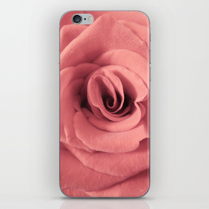Pink rose iPhone Skin