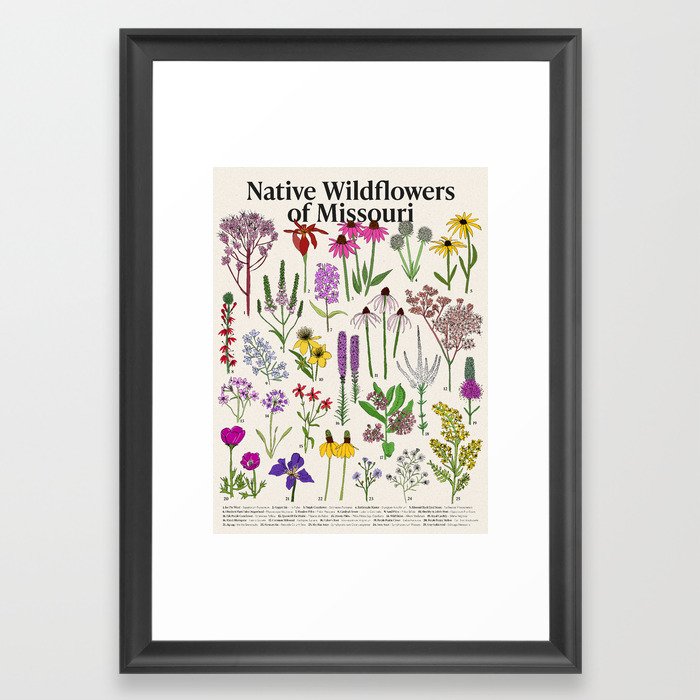 Native Missouri Wildflowers Framed Art Print