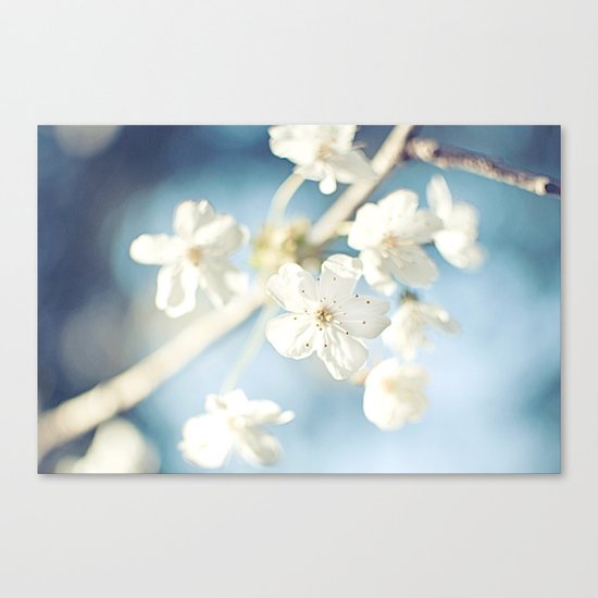 Flowers in the Sky Canvas Print