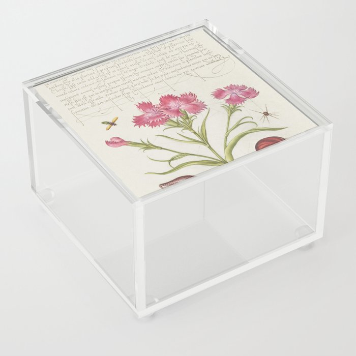Vintage calligraphic floral art Acrylic Box