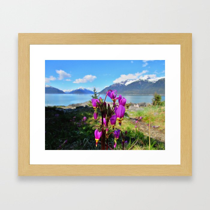 Spring in Alaska Framed Art Print