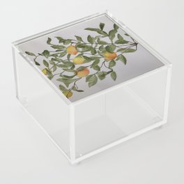 Lemons and Leaves Acrylic Box