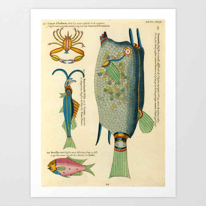 Fishes from Louis Renard's "Poissons, ecrevisses et crabes" (1754) Art Print