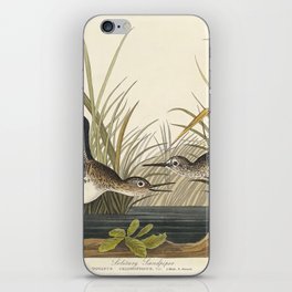 Solitary Sandpiper from Birds of America (1827) by John James Audubon  iPhone Skin