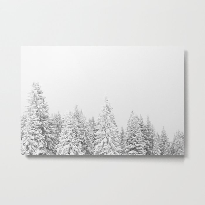 Snowy Evergreen Forest Metal Print