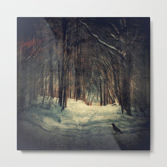 Winter Path Metal Print