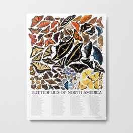 Butterflies of North America Metal Print