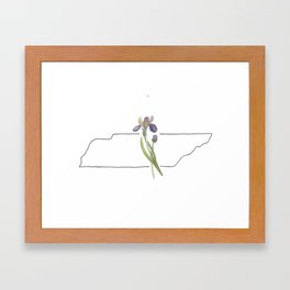 tennesee state flower iris watercolor Framed Art Print