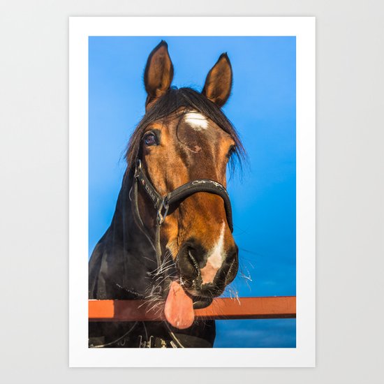 Horse Albert Art Print
