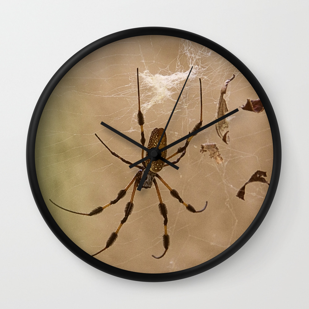 Florida Banana Spider Wall Clock By Rogerwedegis Society6