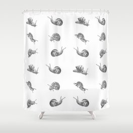 Snail Pattern Shower Curtain