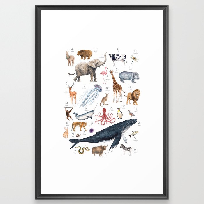 Animal Alphabet Framed Art Print