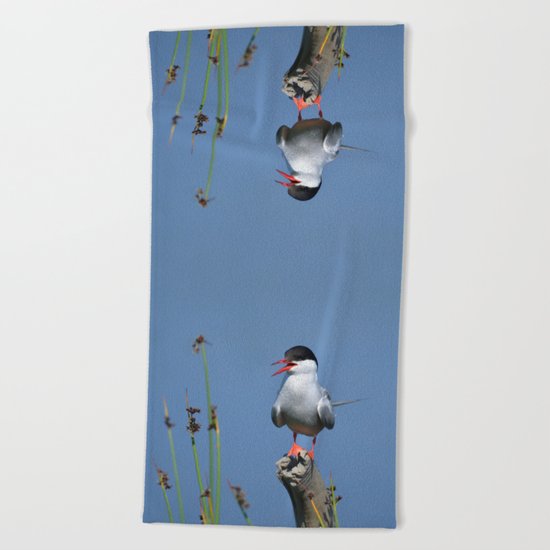 Arctic Tern Beach Towel