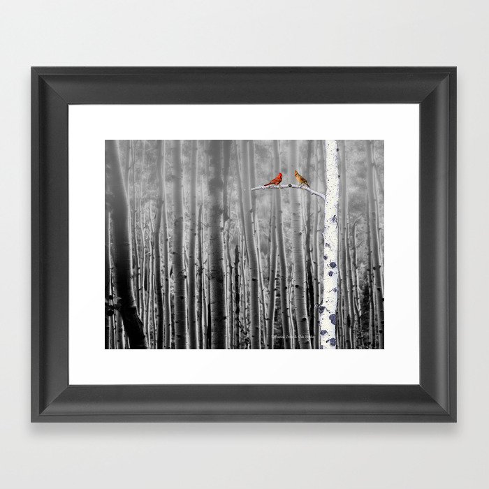 Red Cardinals in Birch Forest A128 Framed Art Print