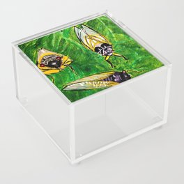 Cicada invasion Acrylic Box