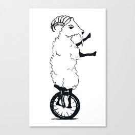 Goat on a Unicycle Canvas Print