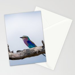 Lilac Breasted Roller Stationery Card