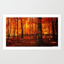 Fall Trees (orange) Art Print