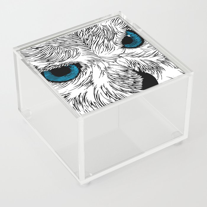 Owl 1 Acrylic Box