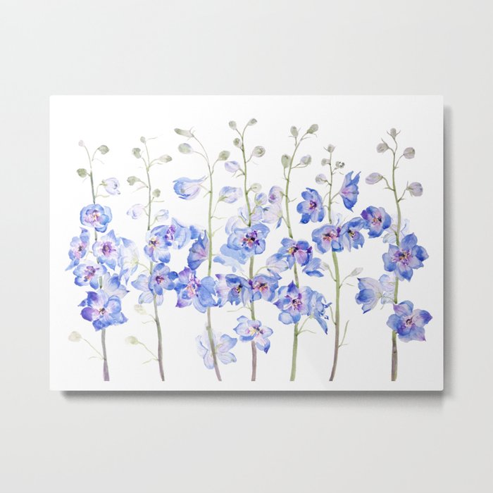 purple larkspur delphinium field watercolor  Metal Print