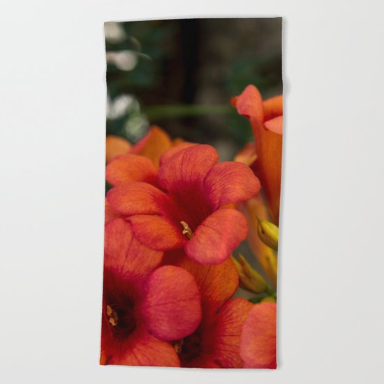 Bignonia Flowers. Photography . Beach Towel