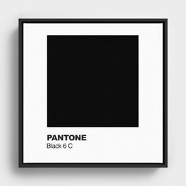 Black Pantone Framed Canvas