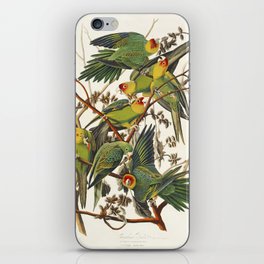 Carolina Parrot from Birds of America (1827) by John James Audubon  iPhone Skin